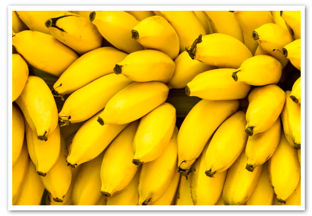 bananas-extintas-2