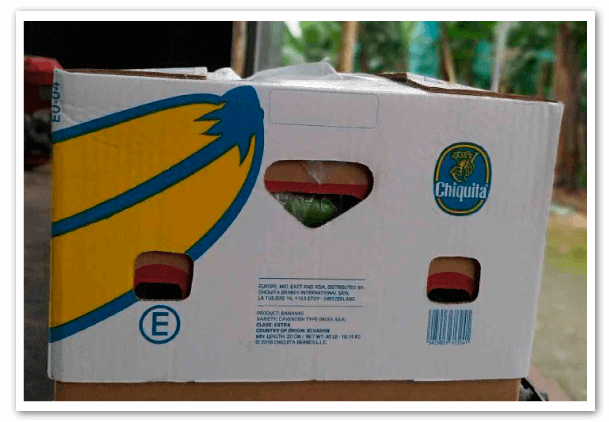 Estructura-comercial-del-negocio-bananero-3