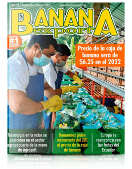 revista-noviembre 2021