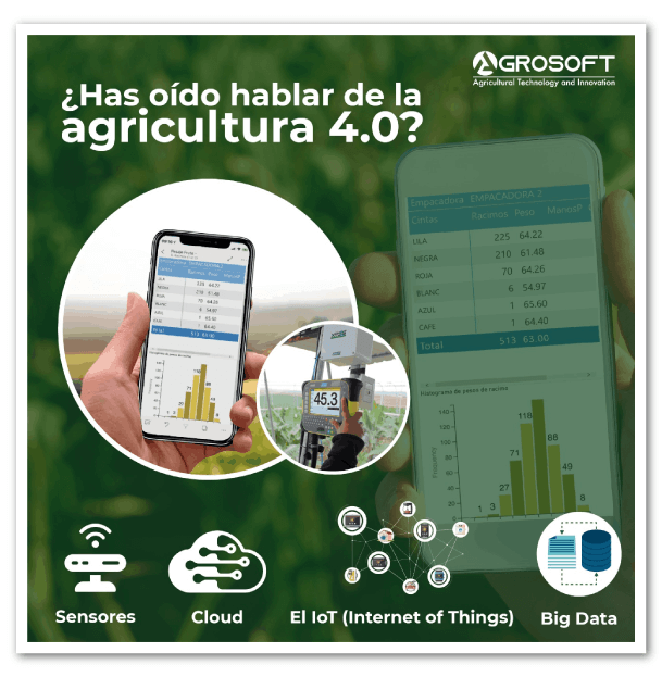 tecnología-en-la-nube-brasil