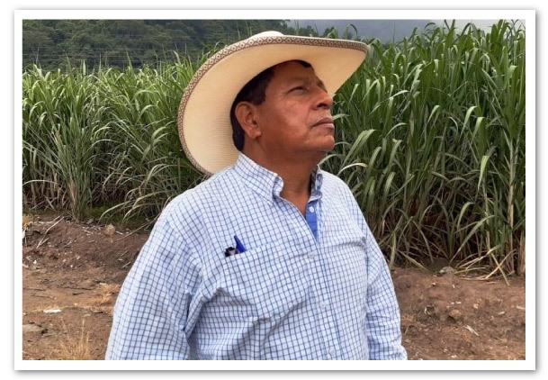 PMS-no-son-la-solucion-en-el-agro-1
