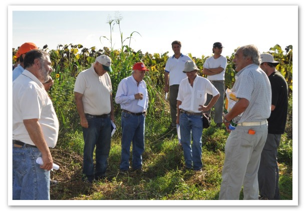 Colegios de Ingenieros Agronomos