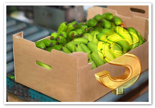 precio caja de banano