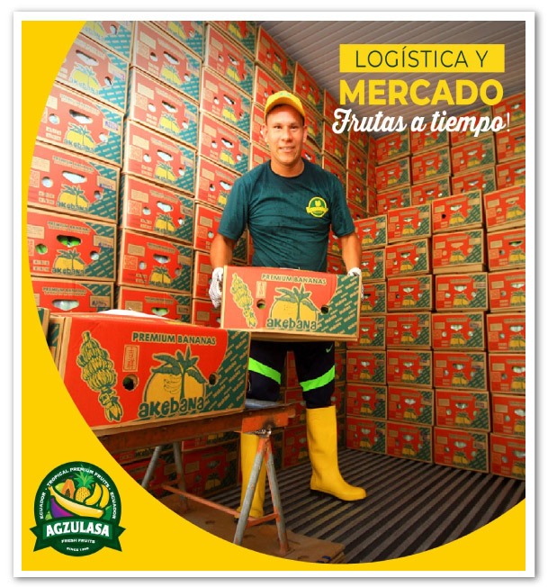 El-banano-ecuatoriano-2