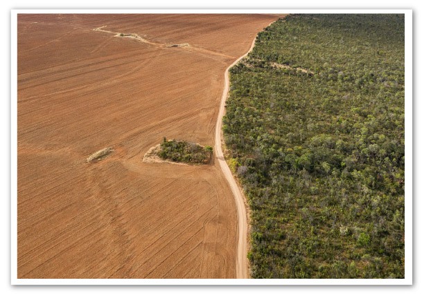 la-ley-pionera-de-la-ue-contra-la-deforestacion-mundial-1