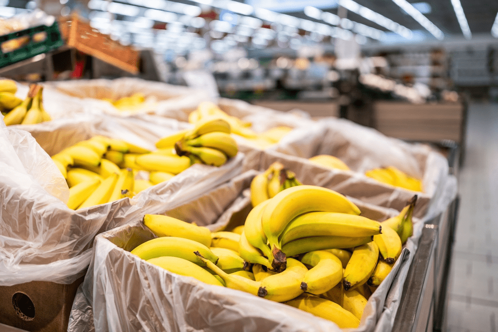 Boletin Cierre de 2024 Sector exportador