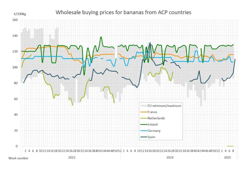 estadistica-latinoamerica-banana-paises