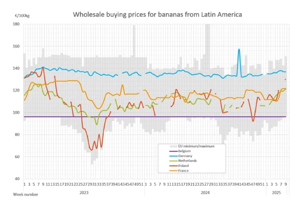 estadistica-latinoamerica-banana