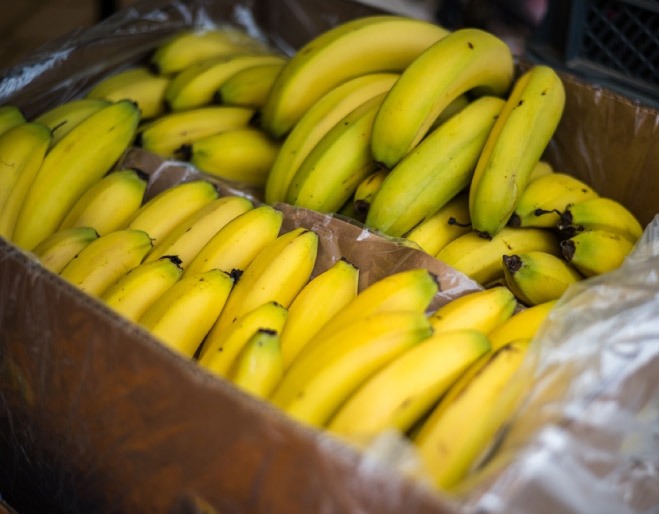 banano-exportacion