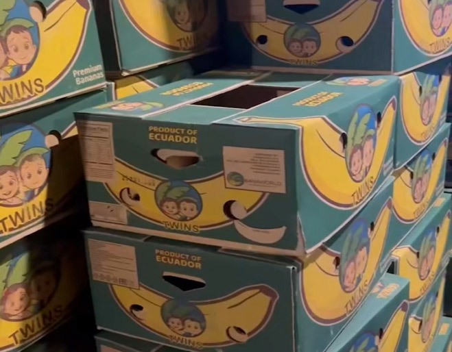 caja-de-banano-con-droga
