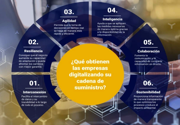 trazabilidad-digital-concepto