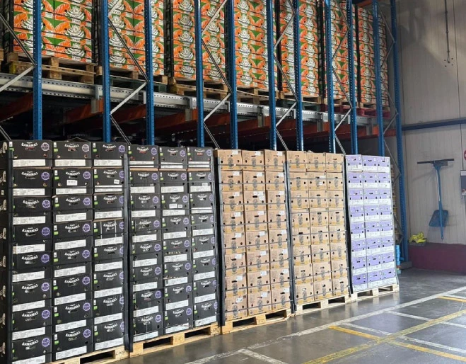 exportaciones-de-Filipinas-e-India