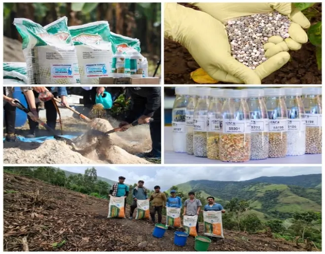 Radiografía global de los agroinsumos